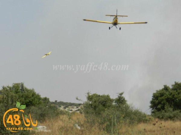 fire a7rsaah (6).jpg